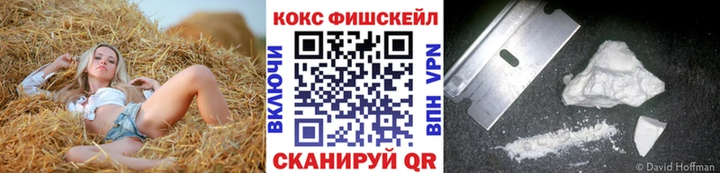 COCAIN Fish Scale  Купить  Данков 