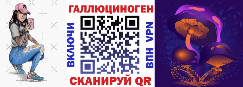 Купить  Данков  Псилоцибиновые грибы мицелий 